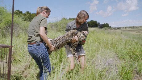 Dierendokter in het wild